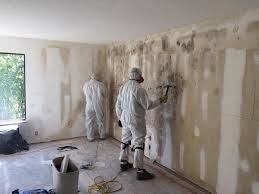 Best Crawl Space Mold Remediation  in Antelope, CA